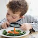 best foods that help in the brain development of children