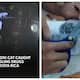 Costa Rican police caught a cat with drug to jump into jail video viral 