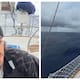 man buy boat and sail the Pacific with pet cat viral video 