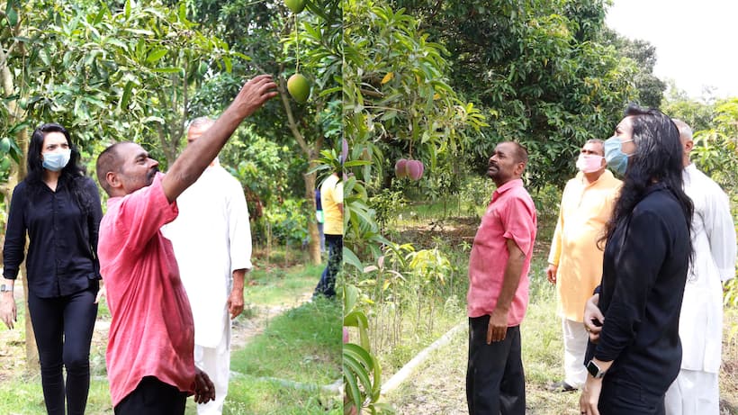 bhagalpur jardalu aam gi tag mango man ashok chaudhary has modi mango