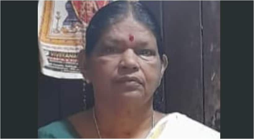 ചെറുമകന്റെ ചോറൂണ് ചടങ്ങ്, മണ്ണാറശ്ശാല ക്ഷേത്രത്തിലെത്താനുള്ള യാത്രയ്ക്കിടെ മുത്തശ്ശിക്ക് ദാരുണാന്ത്യം