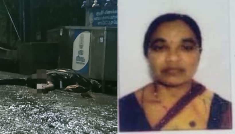 ശബരിമല ദർശനം കഴിഞ്ഞ് മടങ്ങവേ ഷോക്കേറ്റു, നീലിമലയിൽ തീർഥാടകയ്ക്ക് ദാരുണാന്ത്യം