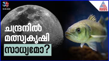 Fish farming not only on Earth but also on the Moon Dont be surprised the latest studies out Fish farming not only on Earth but also on the Moon Dont be surprised the latest studies out