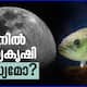 Fish farming not only on Earth but also on the Moon Dont be surprised the latest studies out