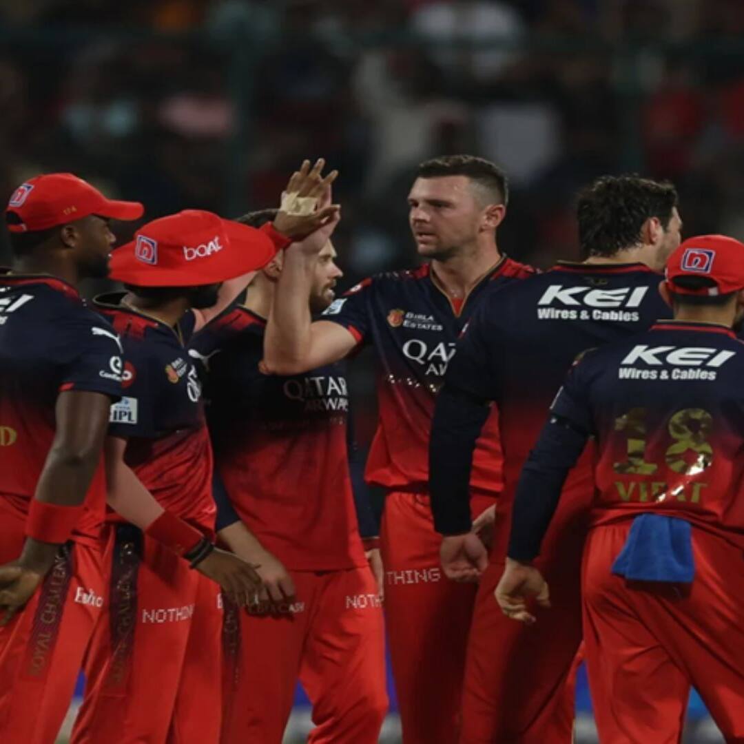 IPL 2025: ২২ গজের মেগা যুদ্ধ! কোন দলের ভাগ্যে আছে আইপিএল ২০২৫ এর মুকুট?