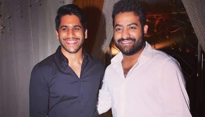 నాగచైతన్యతో ఎన్టీఆర్‌ రీమేక్‌ ప్లాన్‌