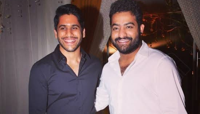 నాగచైతన్యతో ఎన్టీఆర్ రీమేక్ ప్లాన్ నాగచైతన్యతో ఎన్టీఆర్ రీమేక్ ప్లాన్