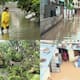 130mm rain with in 12 hours, bengaluru witness heavy rain fall 