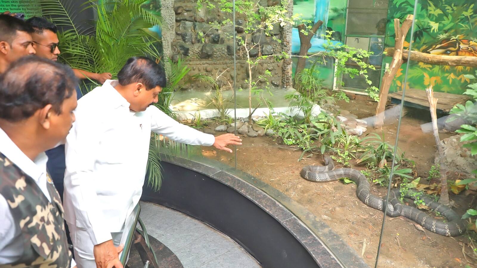 Mohan Yadav gifted a male king cobra to Kamla Nehru Zoological Museum