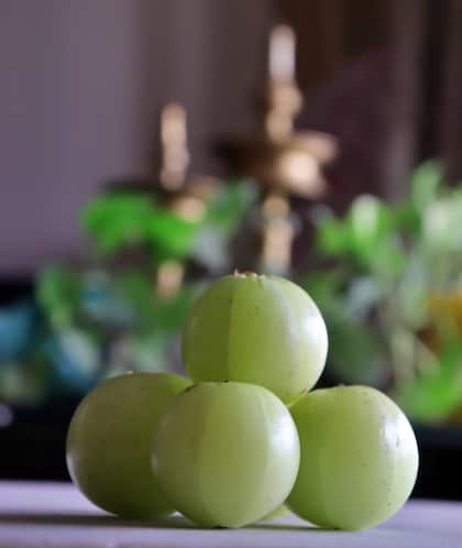 ఉసిరికాయ