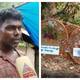 father of children who died of jaundice wants treatment help for son kollam