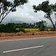potted cannabis plant found on Kolagapara National Highway Meenangadi 