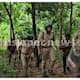 tiger found in Kalikavu Forest Department in efforts to capture it