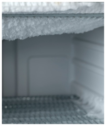 1. Unplug the Fridge