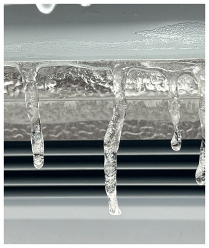 3. Easy Defrosting Tip