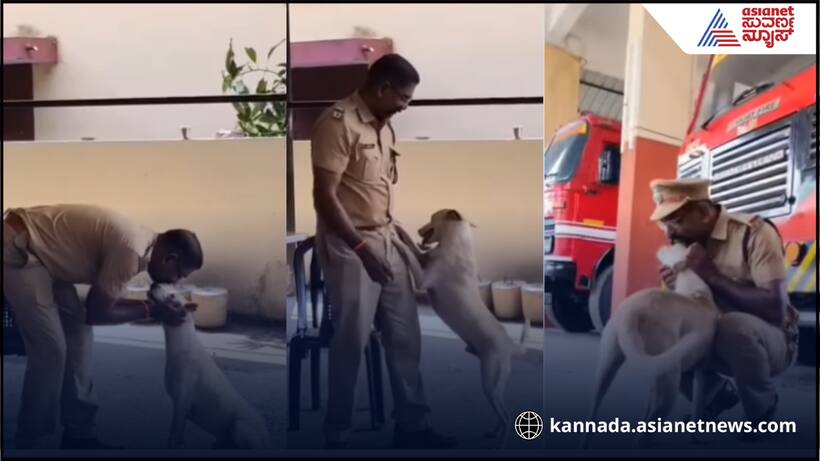 ಸೇವೆಯಿಂದ ನಿವೃತ್ತಿಯಾದ ಅಗ್ನಿಶಾಮಕ ದಳದ ಫೈರ್‌ ಫೈಟರ್ ನಾಯಿ, ಭಾವುಕರಾದ ಸಿಬ್ಬಂದಿ