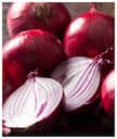 7 tips for storing onions: Fridge or room temperature?