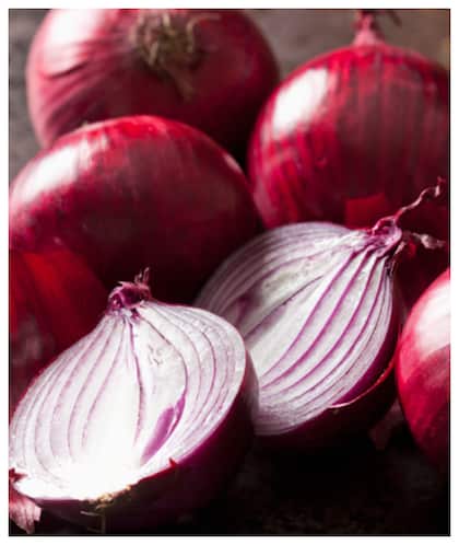 7 tips for storing onions: Fridge or room temperature?