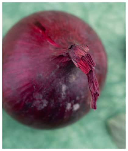 1. Keep Onions Dry