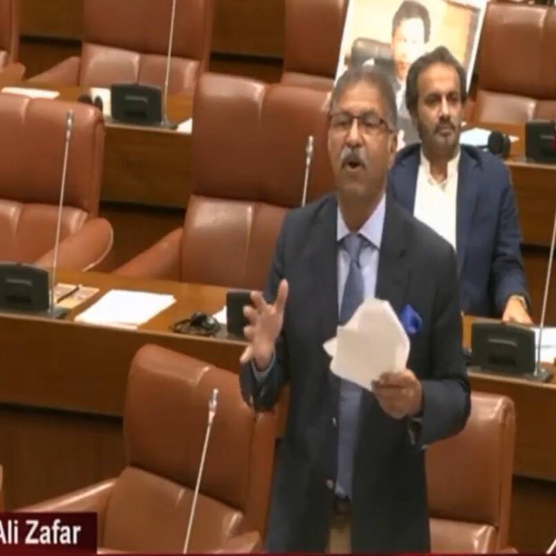 'Bhooke mar sakte hai': Pak Senator Syed Ali's 'defuse water bomb' alarm amid Indus Treaty suspension (WATCH)
