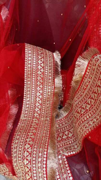 Kiran Lace Net Dupatta
