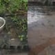 Tar from the national highway flowed into the house after the rain company rushed to the house after hearing the news giving assurances