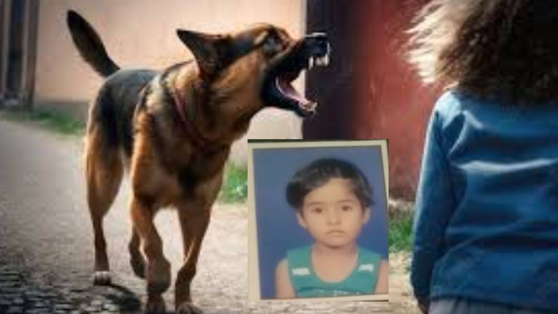 Tumakuru dog attack