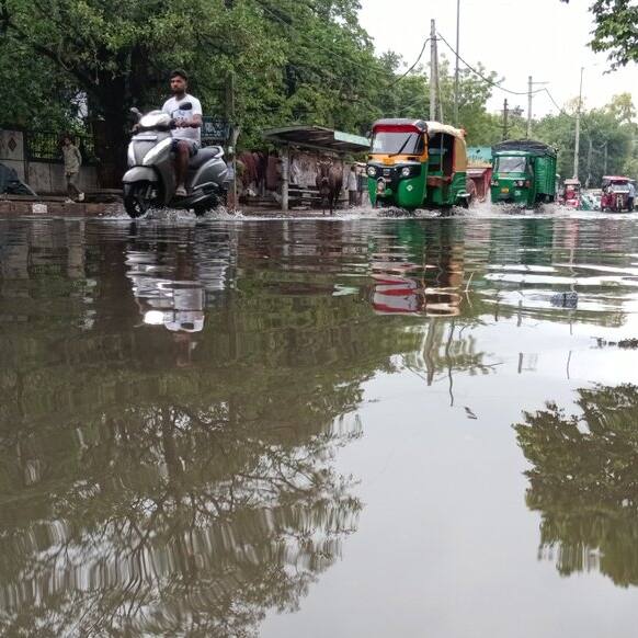 Roads waterlogged, trees uprooted: Heavy rain in Delhi-NCR causes chaos (WATCH)