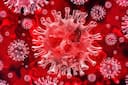coronavirus: మ‌ళ్లీ వ‌స్తోన్న మాయ‌దారి రోగం.. అప్ర‌మ‌త్తం చేసిన ఆరోగ్య శాఖ