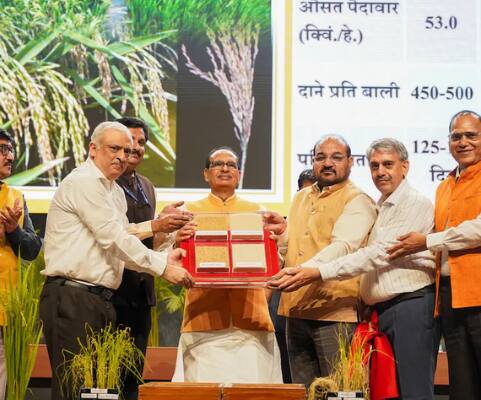Genome edited rice: వ్య‌వ‌సాయ రంగంలో భార‌త్‌ అద్భుతం.. ప్ర‌పంచంలో తొలిసారి జీనోమ్ ఎడిటెడ్ రైస్