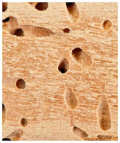 2. Polishing furniture