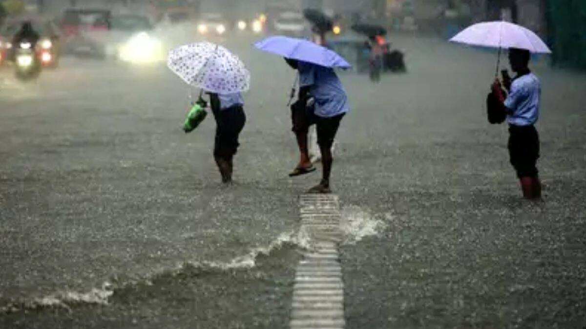 Heavy Rain Alert