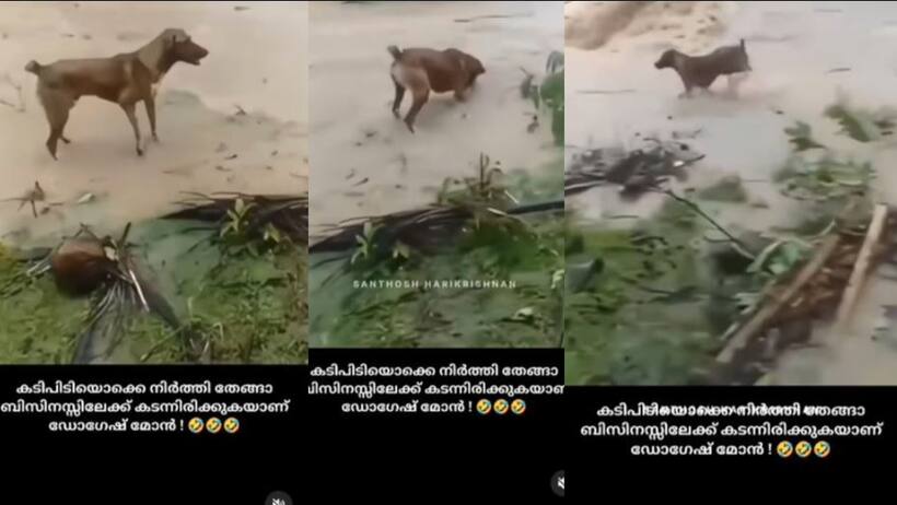 Asianet Image