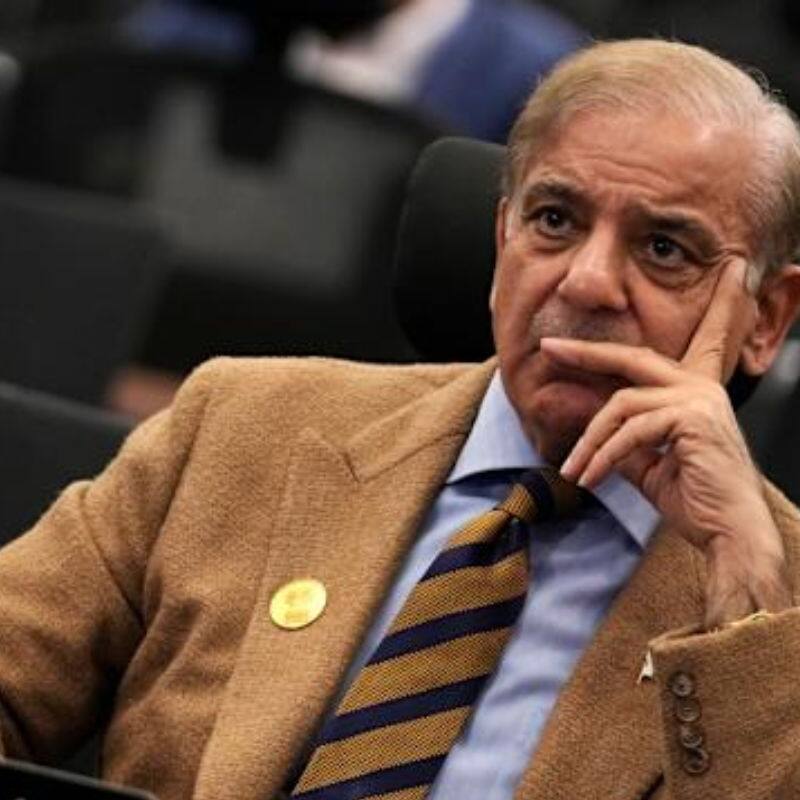 Shehbaz Sharif admits Pakistan Army was caught off guard by India's BrahMos missile strikes (WATCH)