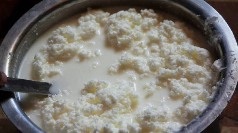 curdled milk 