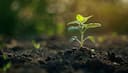 Gardening Guide: 7 key steps to start gardening in July for light eaters