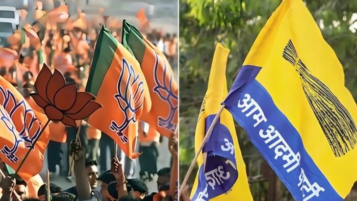 BJP vs AAP