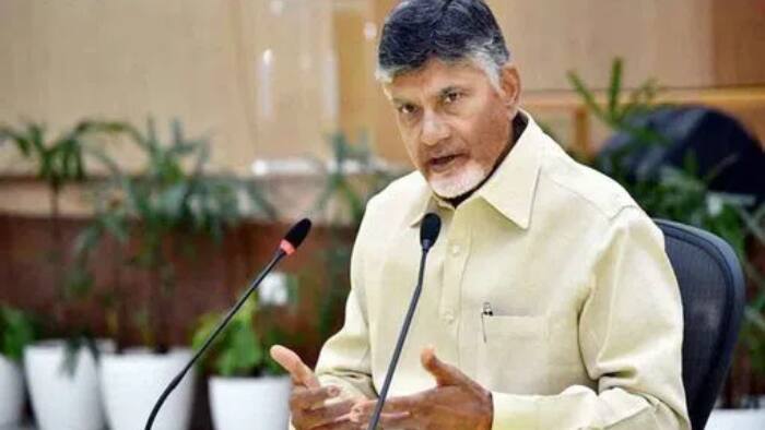 Chandrababu Naidu NTR conflict
