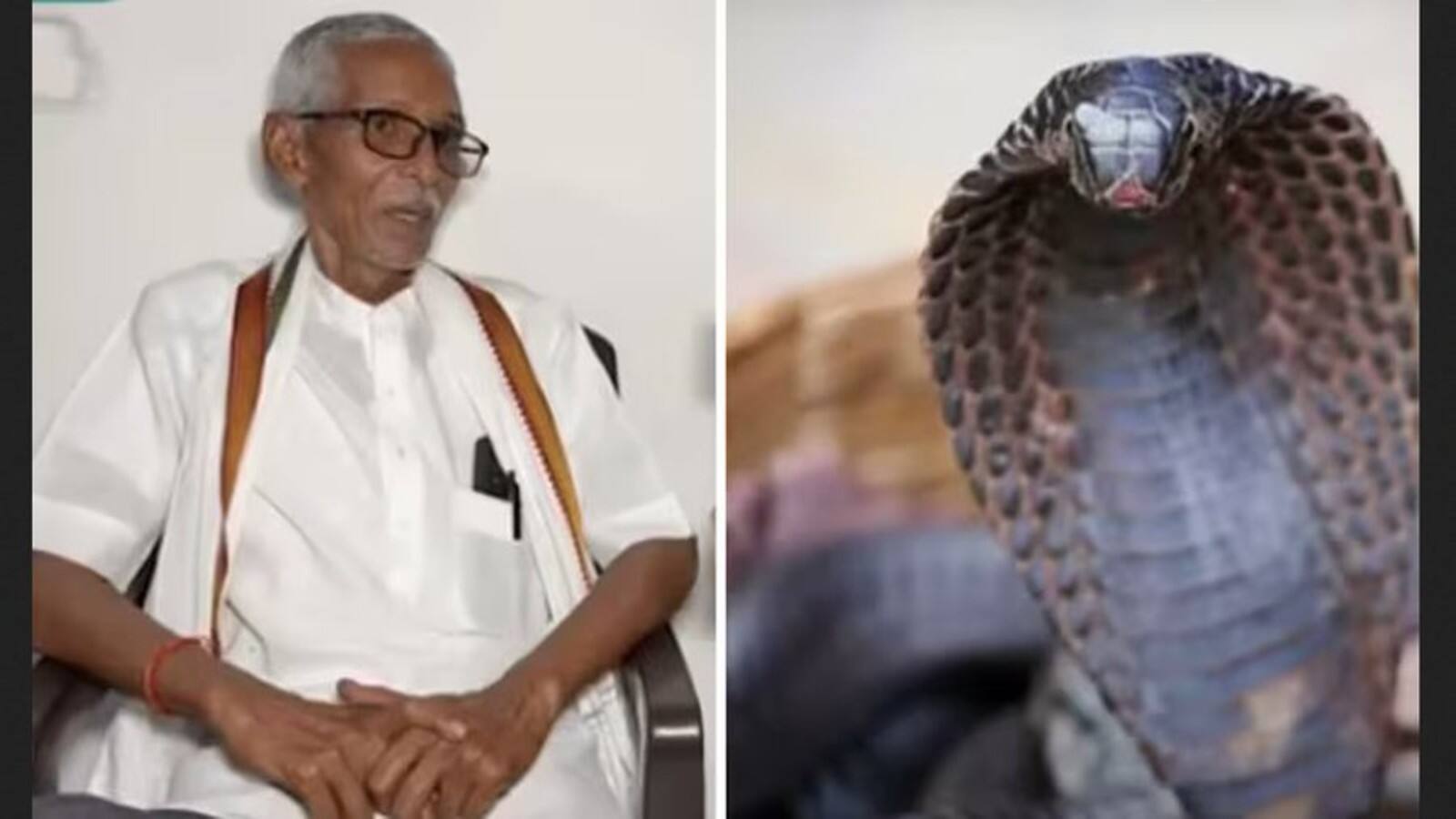 Seoni Snakebite Scam