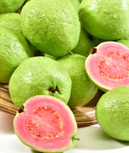 జామకాయ