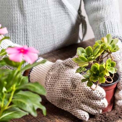 Gardening Guide: 10 Expert tips for Plastic free gardening at home