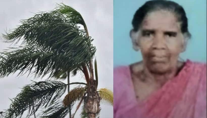 Asianet Image