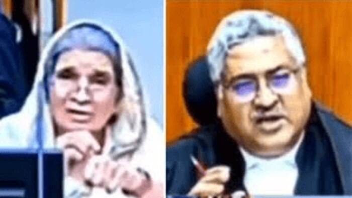 MP professor