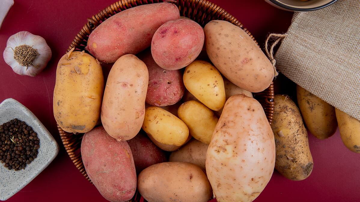 red or white which potato is good for health