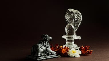 Mahesh Navami Vrat Katha