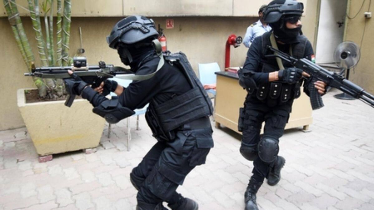 Operation Shield