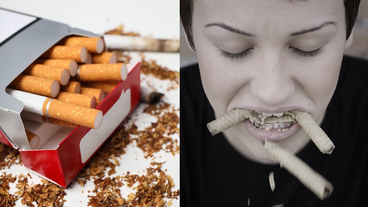 World No Tobacco Day 2025 harmful foods
