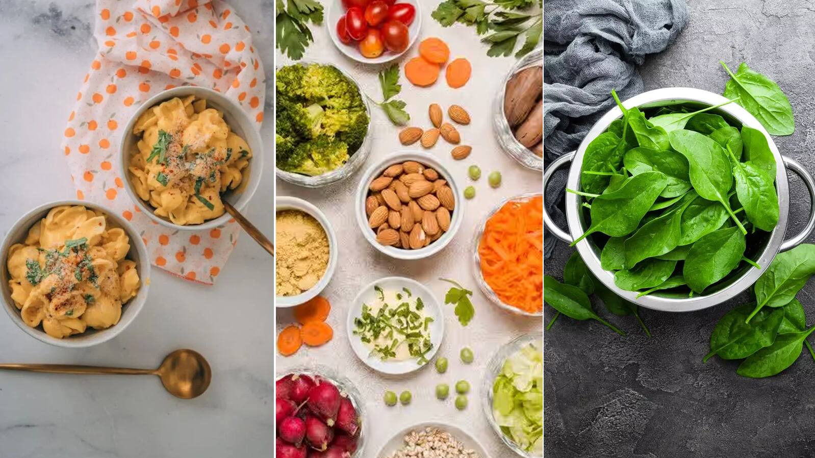 foods powerhouse of vitamin b12
