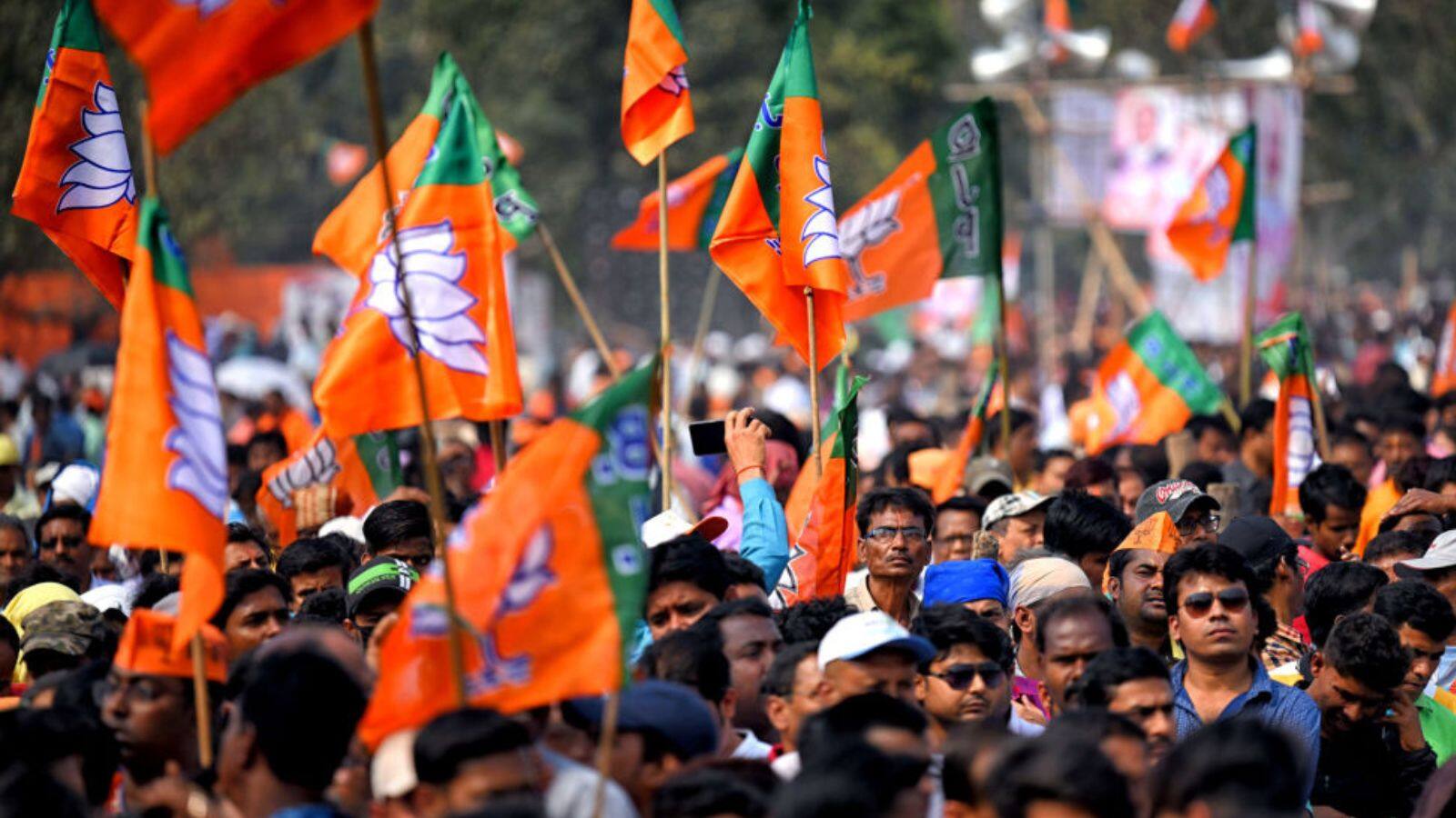 BJP Flag pic