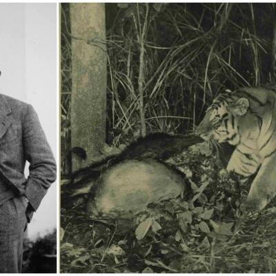 Ever wondered who clicked India's 1st photo of a tiger in the wild? When? Where? Here it is
